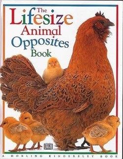 The Lifesize Animal Opposites Book