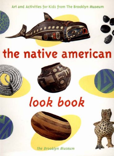 The Native American Art Look Book