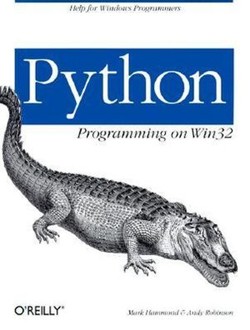 Python Programming on WIN32