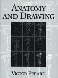 Anatomy and Drawing