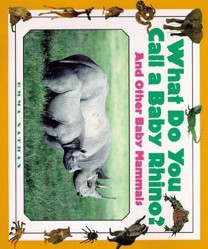 What Do You Call a Baby Rhino?