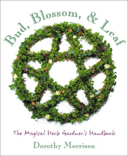 Bud, Blossom, Leaf