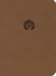 ESV Reformation Study Bible LL Light Brown