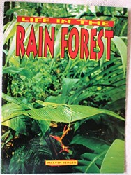 Life in the Rain Forest