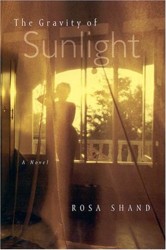 Gravity of Sunlight