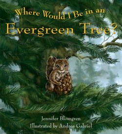 Where Would I Be In An Evergreen Tree?