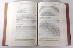 The Gnostic Bible
