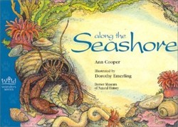 Along the Seashore