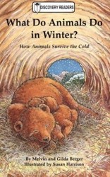 What Do Animals Do in Winter? How Animals Survive the Cold