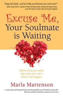 Excuse Me, Your Soulmate is Waiting