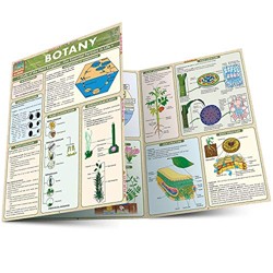 Botany