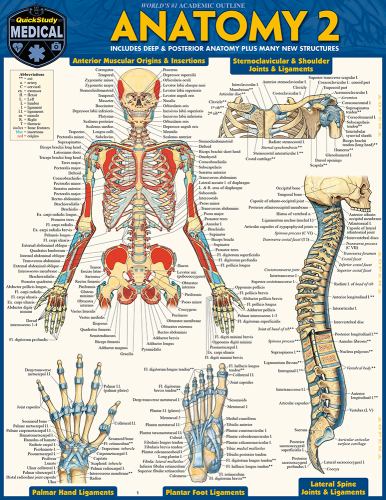 Anatomy 2 - Reference Guide