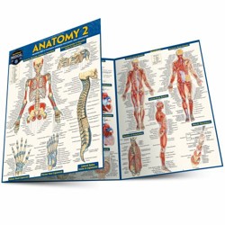 Anatomy 2 - Reference Guide