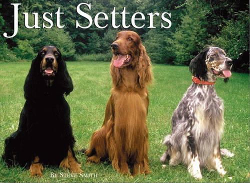 Just Setters