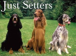Just Setters