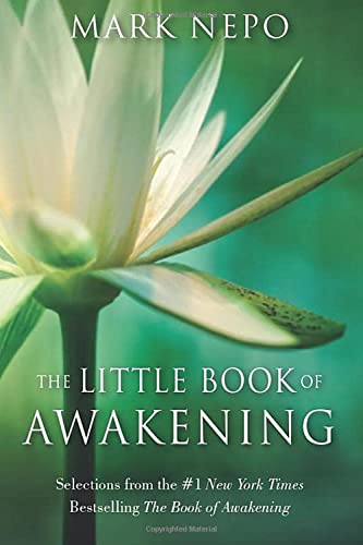 The Little Book of Awakening
