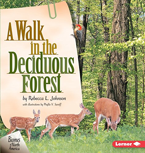 A Walk in the Deciduous Forest