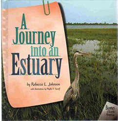 A Journey Into an Estuary