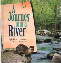 A Journey Into a River