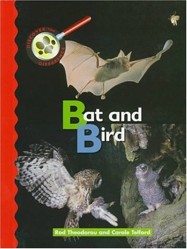 Bat and Bird
