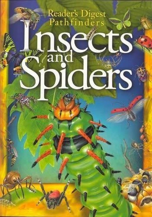 Pathfinders - Insects & Spiders