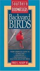 Backyard Birds