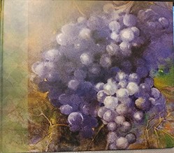 Secrets of the Vine