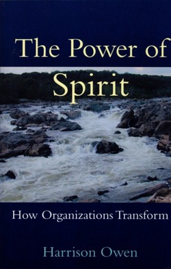 The Power of Spirit: How Organizations Transform
