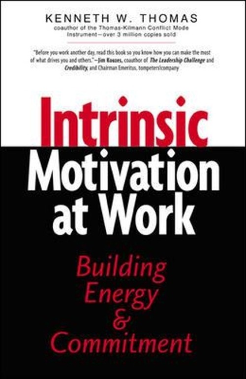 INTRINSIC MOTVIATION AT WORK