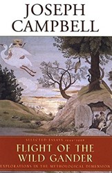 Flight of the Wild Gander