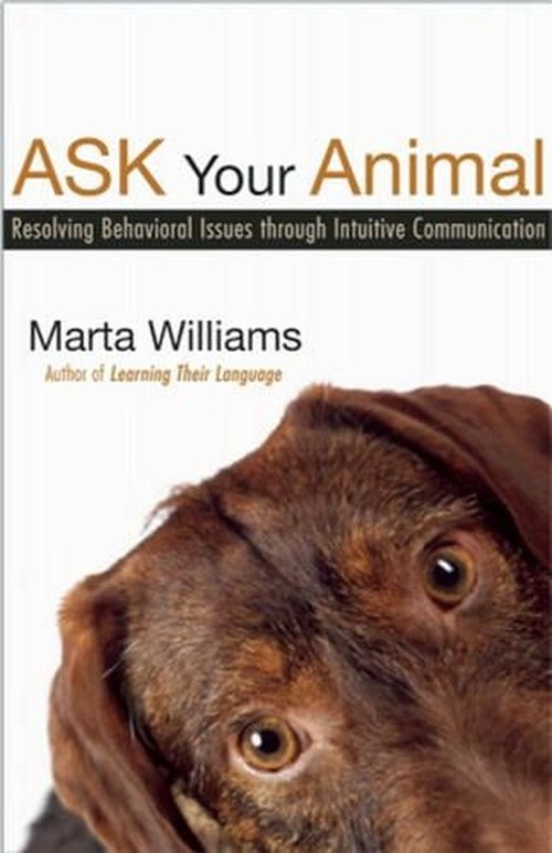 Ask Your Animal