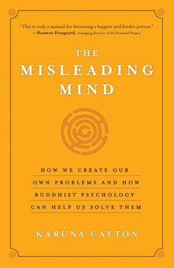The Misleading Mind