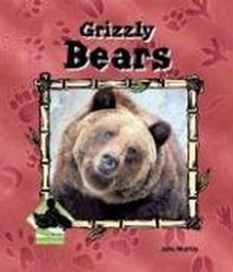 Grizzly Bears