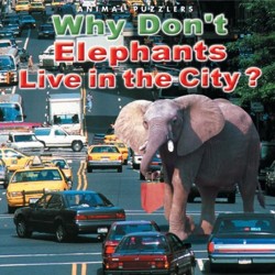 Why Don't Elephants Live in the City?