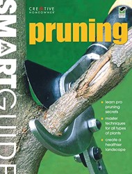 Pruning