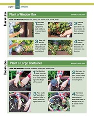 Annuals, Perennials & Bulbs for Your Home