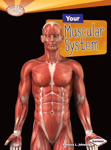 Your Muscular System