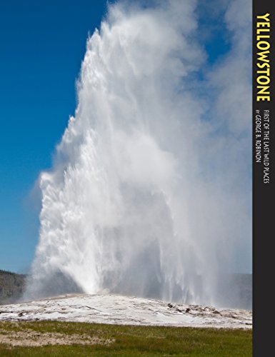 Yellowstone