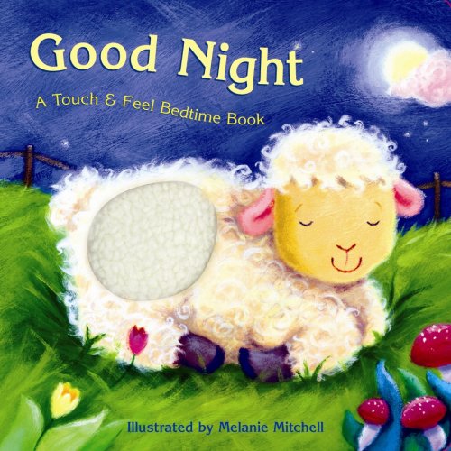 Good Night A Touch  Feel Bedtime Book