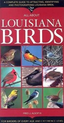 All about Louisiana Birds