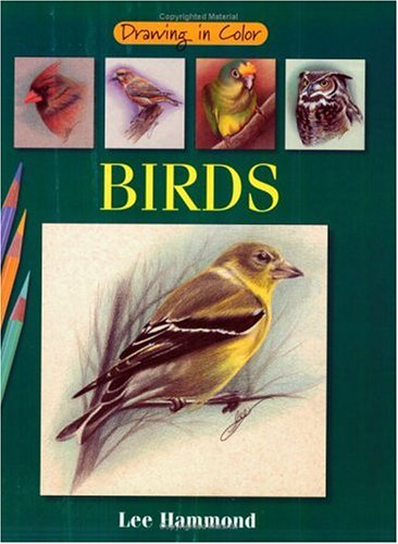 Drawing in Color: Birds