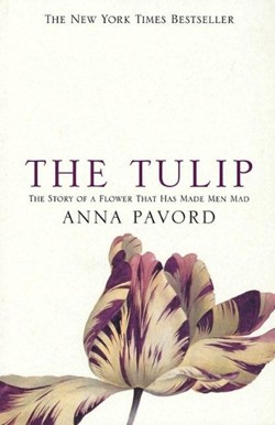 The Tulip