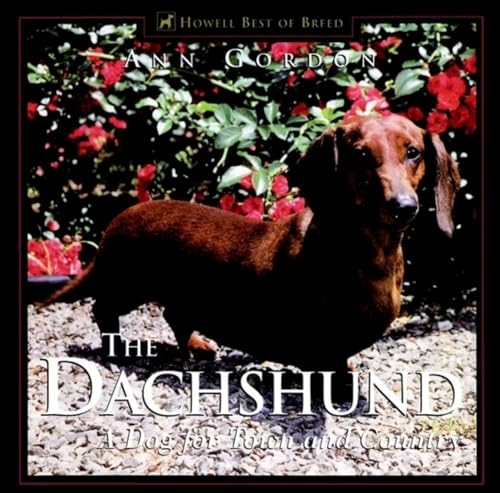 The Dachshund, The