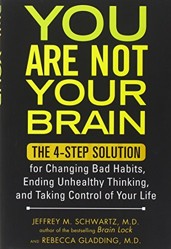 You are Not Your Brain
