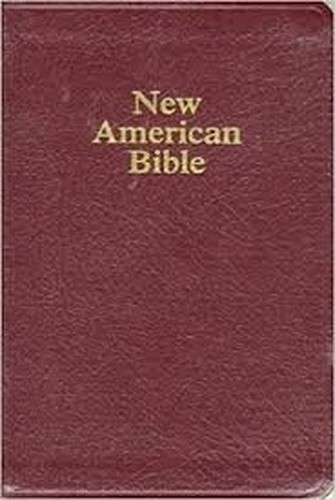 New Testament-NRSV