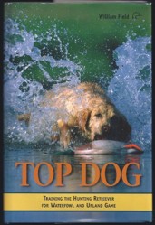 Top Dog