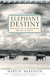 Elephant Destiny