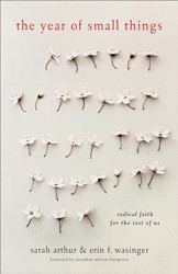 The Year of Small Things  Radical Faith for the Rest of Us