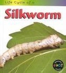 Silkworm