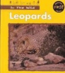Leopards